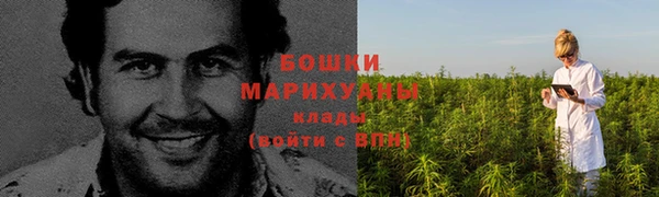 марки lsd Бородино