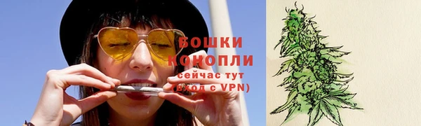 винт Верея
