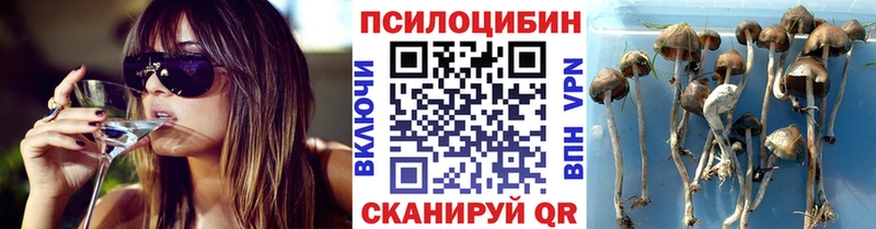 Галлюциногенные грибы ЛСД  mega маркетплейс  Торжок 